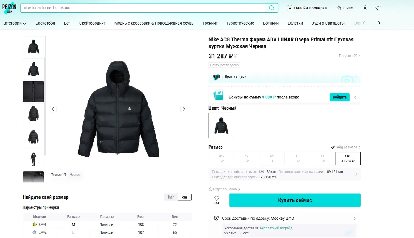 Карточка куртки Nike ACG в российском магазине с ценой 31287 рублей на момент скриншота